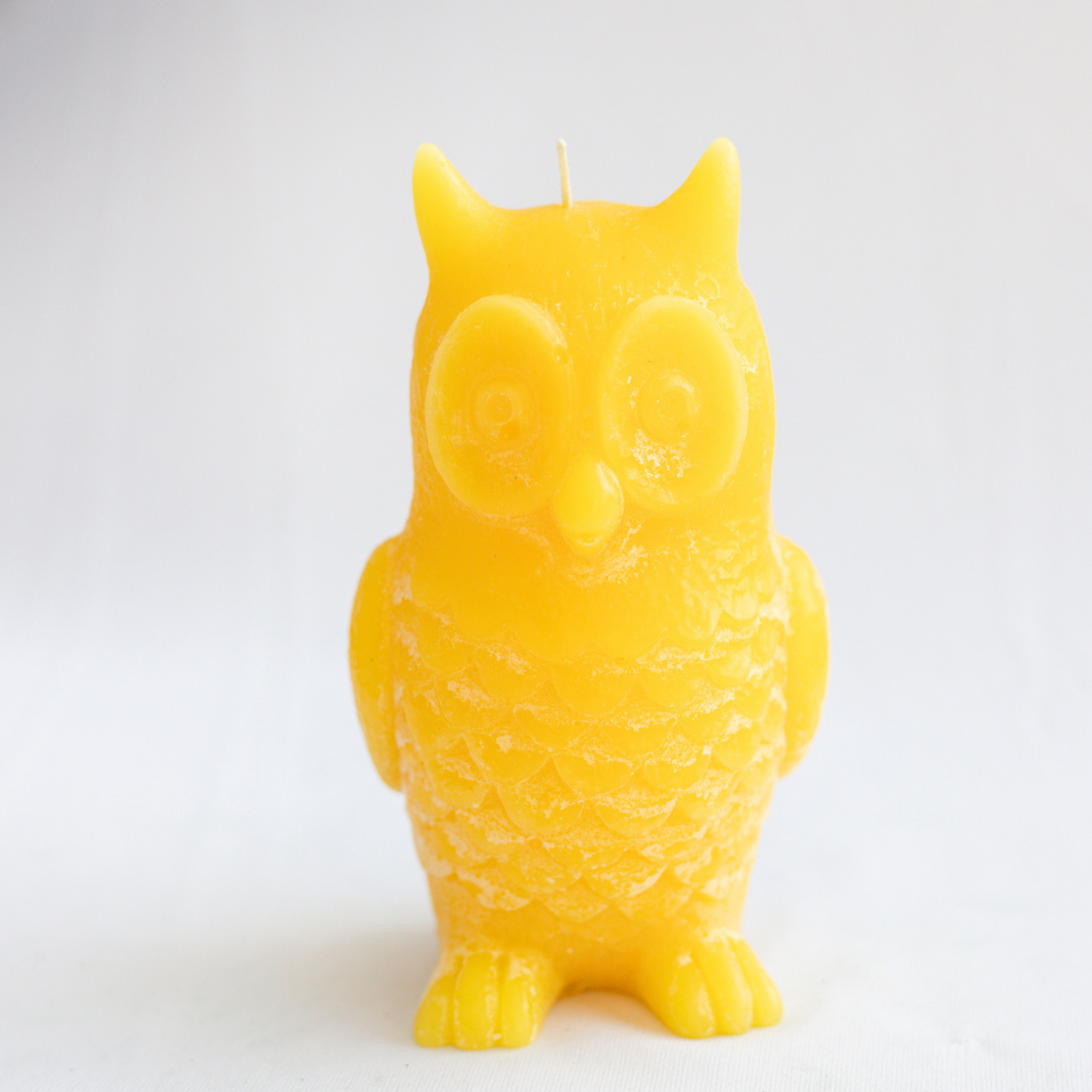 Set of 4 Decorative Owl Candles
