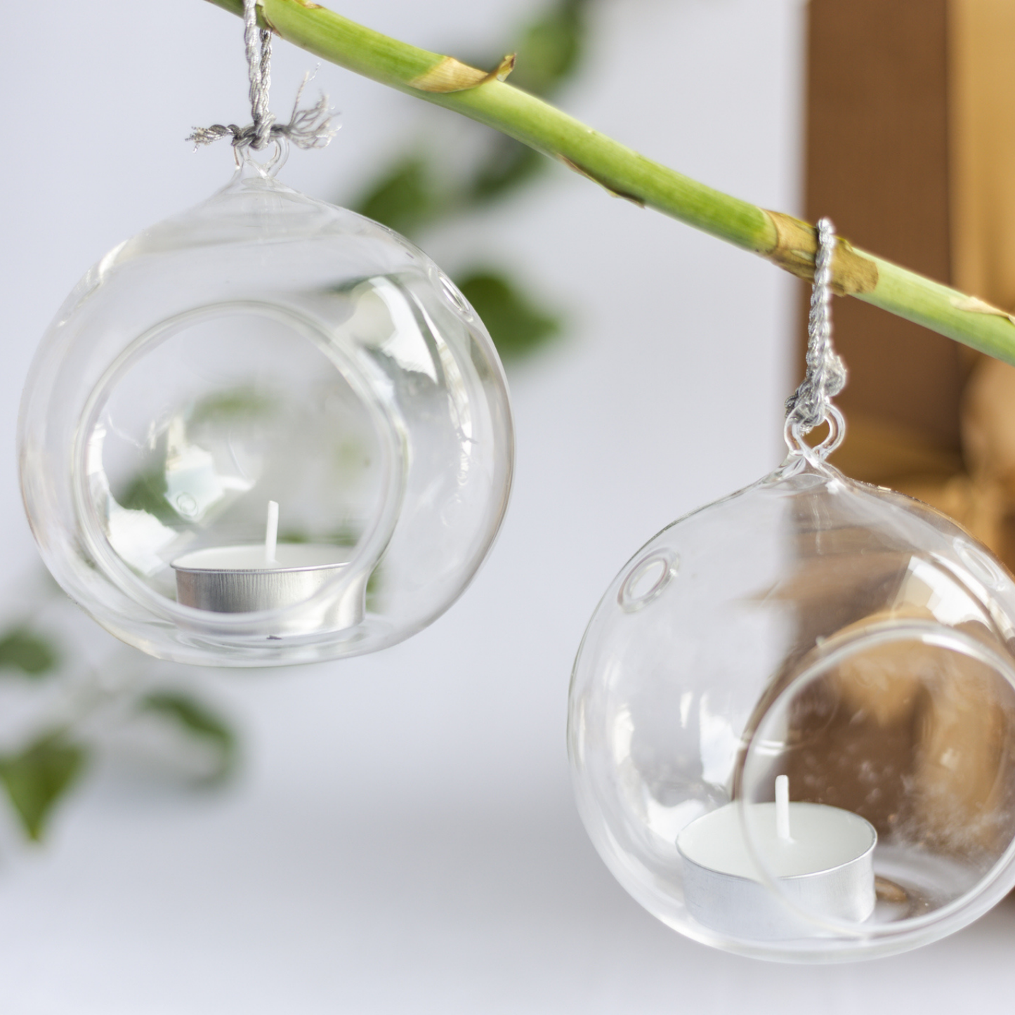 Set of 2 Glass Terrarnium T lite Candle Holder