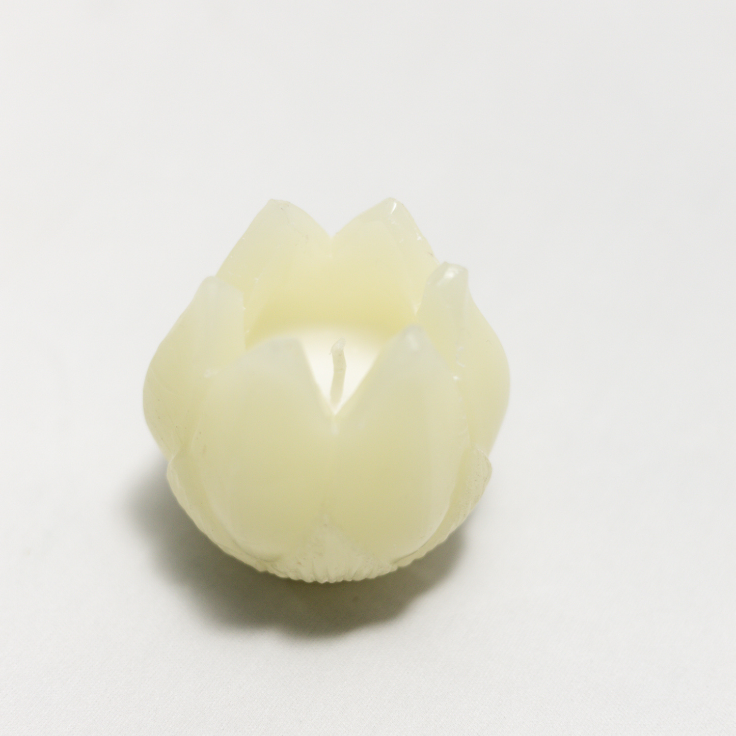 Set of 2 Ivory Lotus Candle