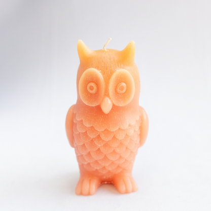 Set of 4 Decorative Owl Candles