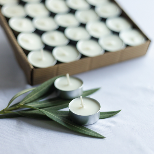 Set of 50 Unscented  Soy Wax   T lite candles