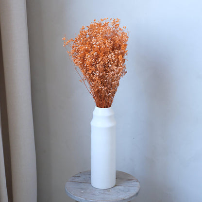 Preserved Natural Baby Breath Flowers