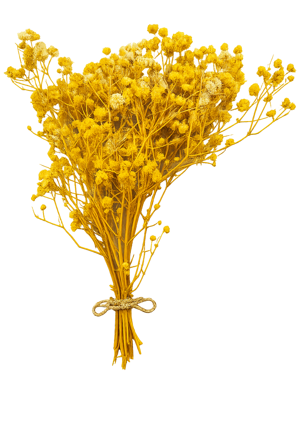 Preserved Natural Baby Breath Flowers