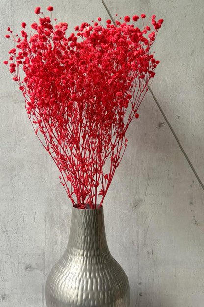 Preserved Natural Baby Breath Flowers