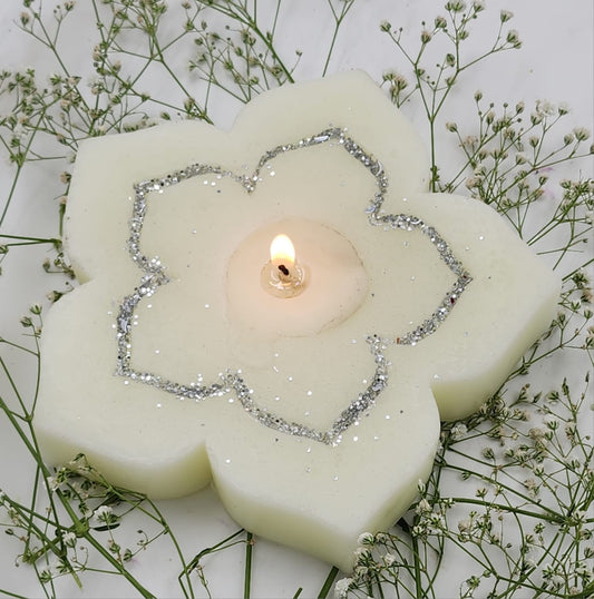 Blossom-The flower