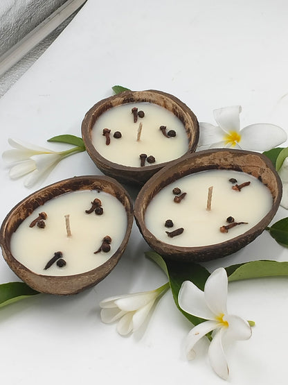 Set of 3 Fragrant Coconut Shell Candles