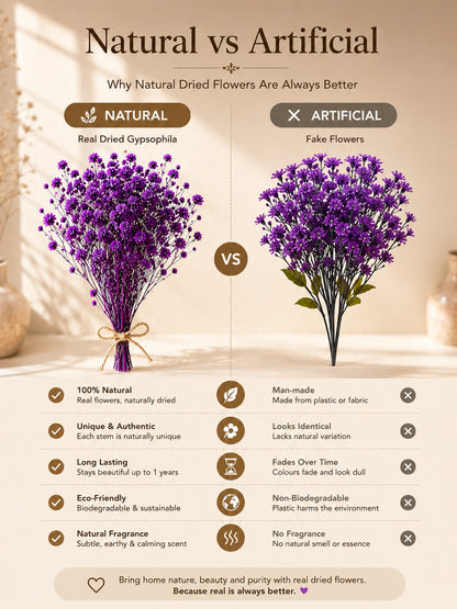 Preserved Natural Baby Breath Flowers