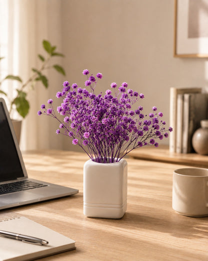 Preserved Natural Baby Breath Flowers