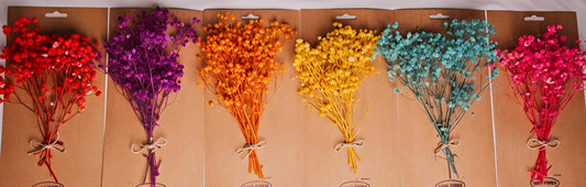 Preserved Natural Baby Breath Flowers